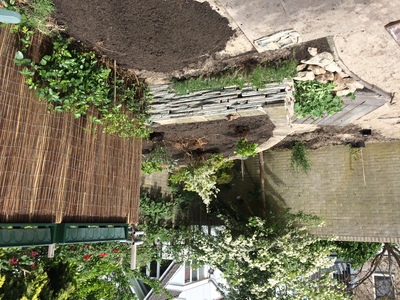 Vergroening tuin 5